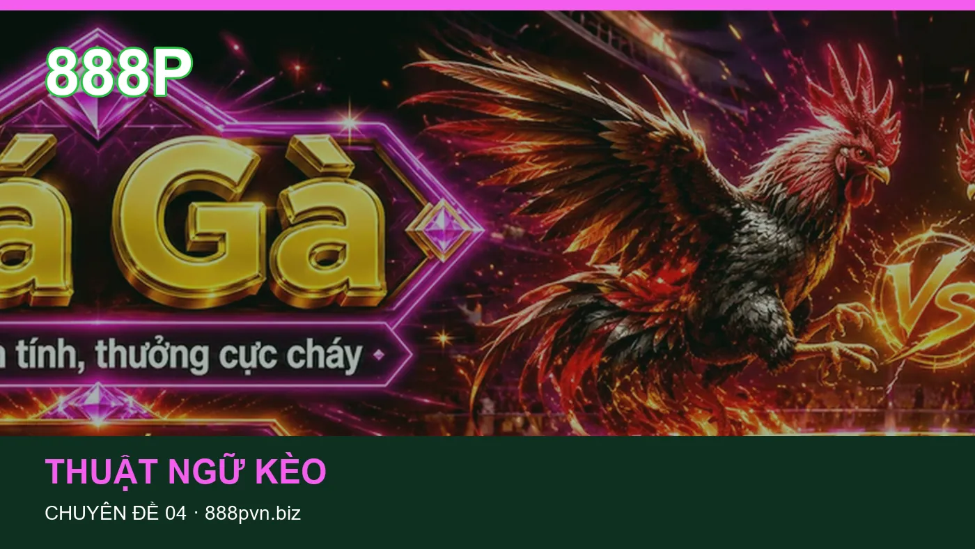 An toàn: những thuật ngữ cần hiểu khi tra cứu 888P